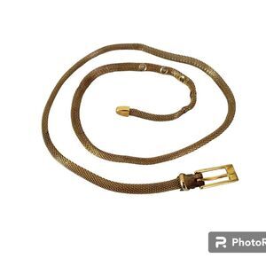 Gold Tone Mesh Rope Chain Snake Link Belt With Buckle Vintage 1970s Retro 70s